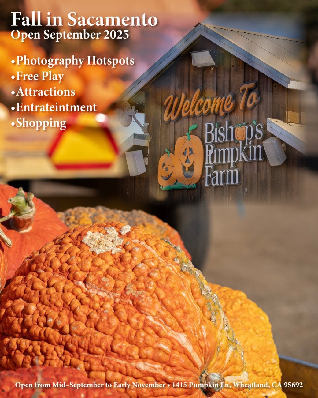 Bishop's Pumpkin Farm concept magazine cover